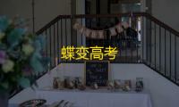 蝶变高考
